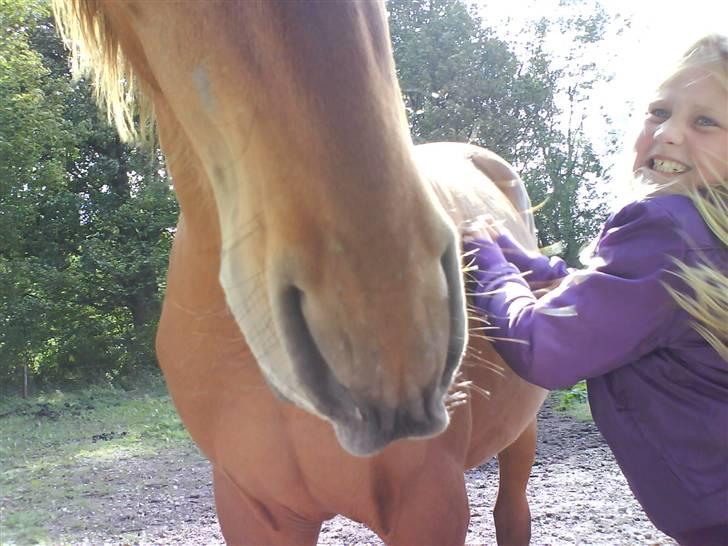 Anden særlig race Shadow <3 (: - Det ligner at hun krasser hårdt . men det er fordi at hun skal se hans firkantet mule også griner hun <3 billede 6