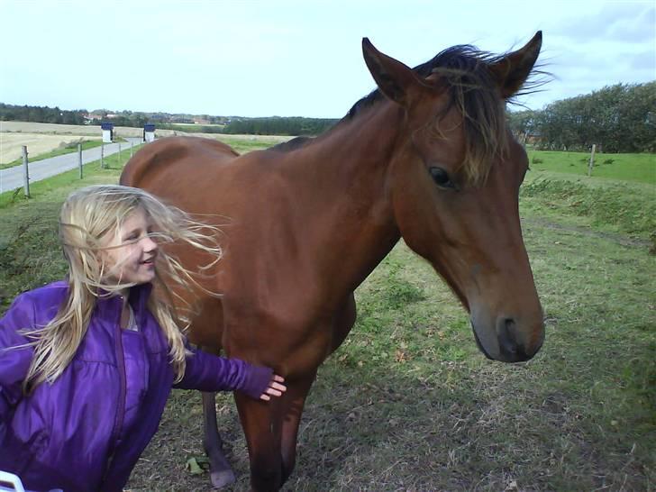 Anden særlig race Shadow <3 (: - Zabina og Shadow <3 billede 10