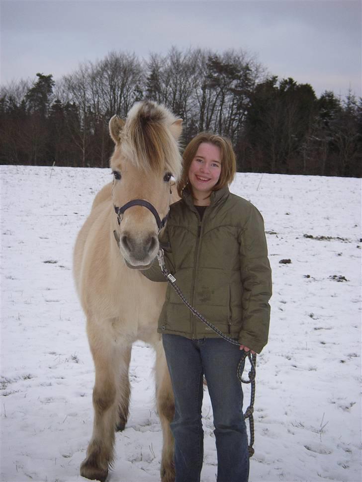 Fjordhest Klaus - Skulle jeg gøre uden diig? Camilla + Klaus = Evight<3 billede 2