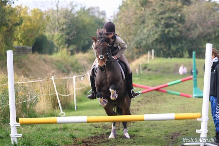 Anden særlig race | Klakkebjergs Tamara |  - Fordi jeg elsker dig ! billede 10