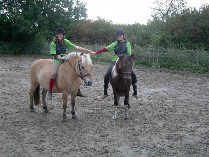 Anden særlig race | Klakkebjergs Tamara |  - Fordi jeg elsker dig ! billede 12