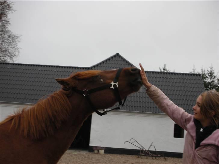 Anden særlig race wendy - hun kan lave røre.... (en start til smile) billede 6