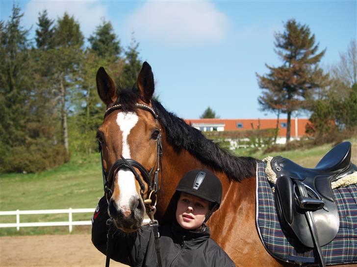 Dansk Varmblod Ganneskovgaards Donna/†af - Donna og mig efter vi har redet. d 3/5-2008 billede 2