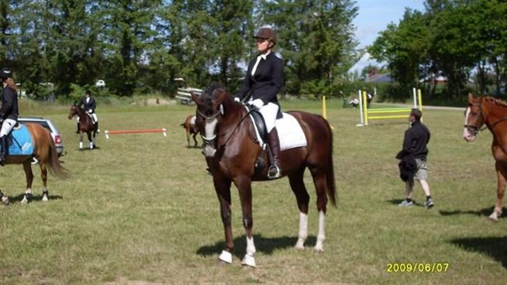 Anden særlig race Smukke Sally billede 8