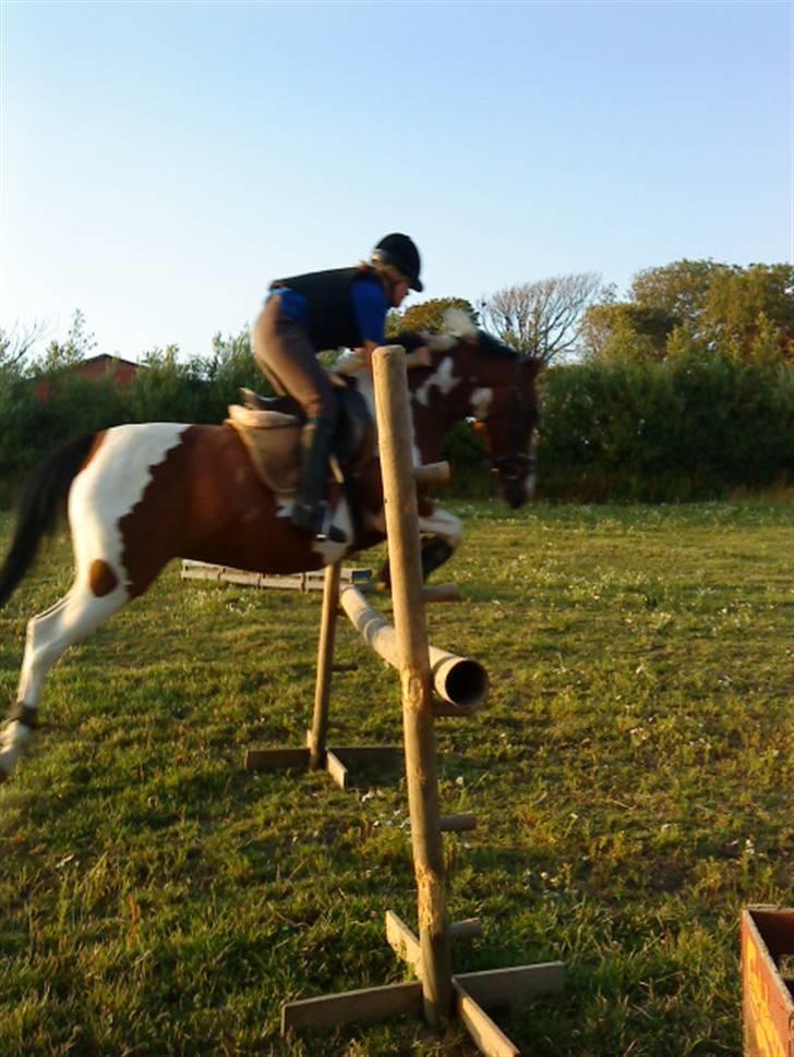 Anden særlig race Miss MoonLight - Spring 90 cm. *taget med mobil* NYT - 09 billede 3