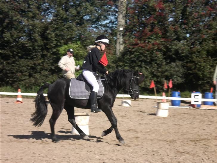 Dartmoor fjuri<3<3 solgt og savnet billede 11