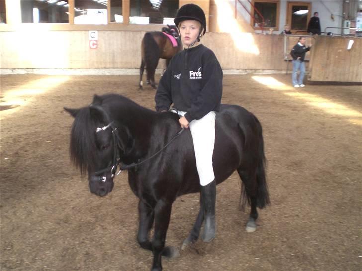 Dartmoor fjuri<3<3 solgt og savnet billede 13