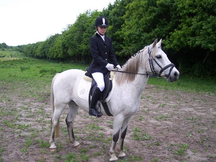 Anden særlig race Chili (passer hest) - Chili og jeg til stævne. Det er dressur, men det er nu ikke det vi er bedst til. :p billede 1