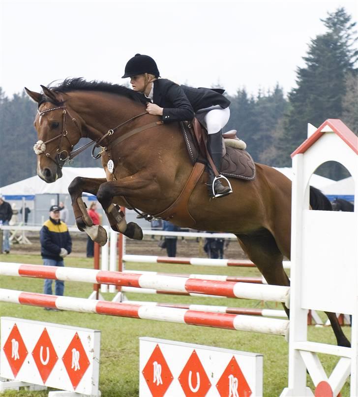 Anden særlig race Nightmare Macohl *RIP* - Mors 2008 billede 11