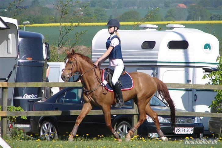 Anden særlig race | Smarties<3 - 16# Smukke skatte <3  billede 16