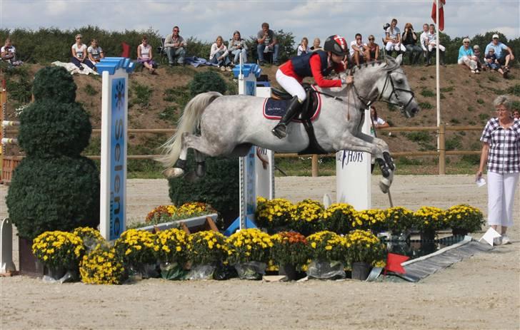 Anden særlig race | <3 Golden <3  - 6# Golden & Jeg i stor stil over vandgraven i SA til A-Finalen ved DM 2009 :D<3 Foto: Gitte Dahl <3 billede 6