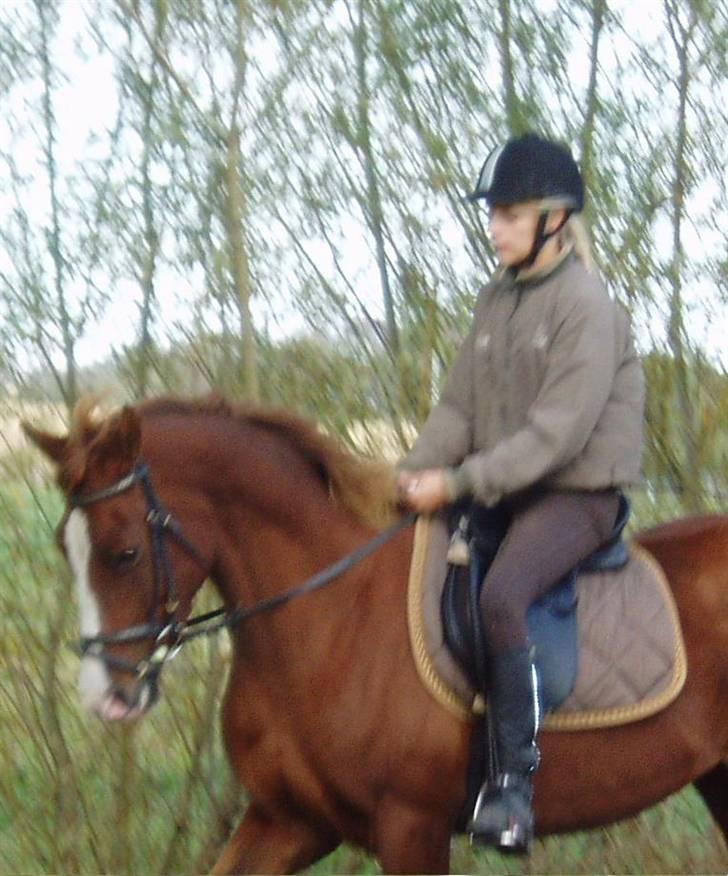 Anden særlig race Johan Jonny (My Joy) billede 6