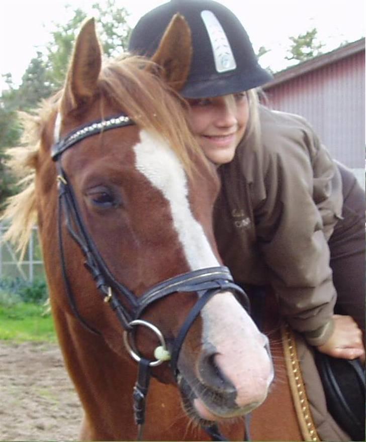 Anden særlig race Johan Jonny (My Joy) billede 9