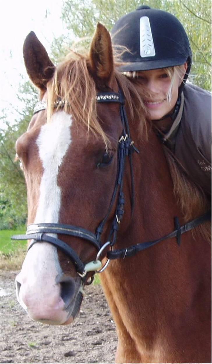 Anden særlig race Johan Jonny (My Joy) billede 10
