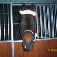 Oldenborg Ravel<3 [Love Of My Life]