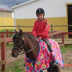 Anden særlig race Mr. X **solgt**