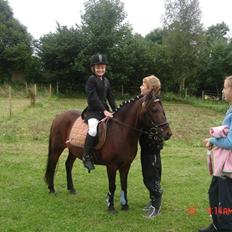 Anden særlig race Mr. X **solgt**