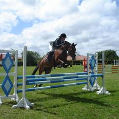 Hollandsk Sportspony Orchid´S Paxton <B-pony>