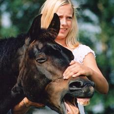 New Forest Tobias Vesta