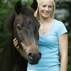 New Forest Tobias Vesta