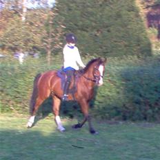 Anden særlig race casino