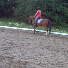 Anden særlig race casino