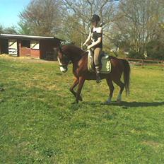 Anden særlig race casino