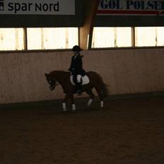 Welsh Mountain (sec A) Juni RIP