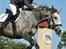 Hollandsk Varmblod Flying Dutch Boy - LC mur i ribe Vandt klassen 14/6-09