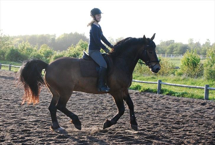 Anden særlig race Elmegaardens Mogcy - Undervisning d.18-05-10, Der mangler stadigvæk en del i galop, men rykker sig fra gang til gang(: billede 8