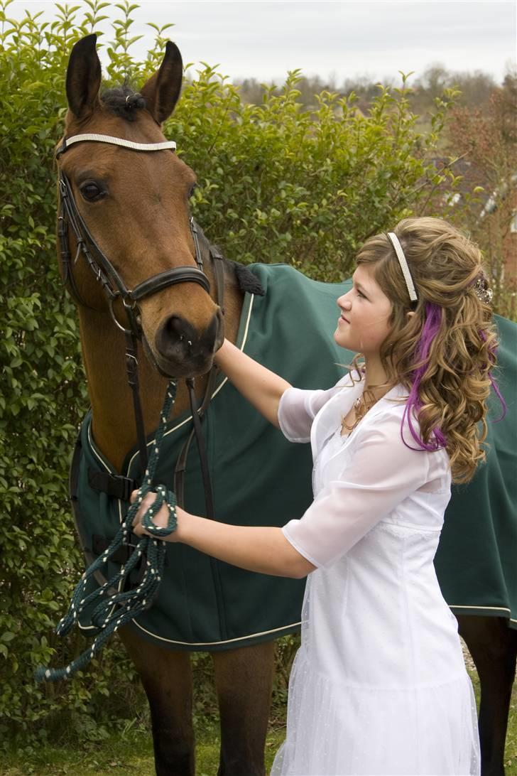 DSP Lanciano Kærlund A-PONY - kælund ved kirken til min konfirmation billede 14