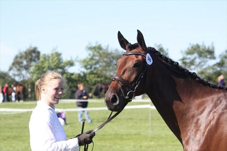 Traver Medea Fønix R.I.P. - Store Hestedag 2010 fik 9 i helhed og indstillet til Dagens Hest billede 19