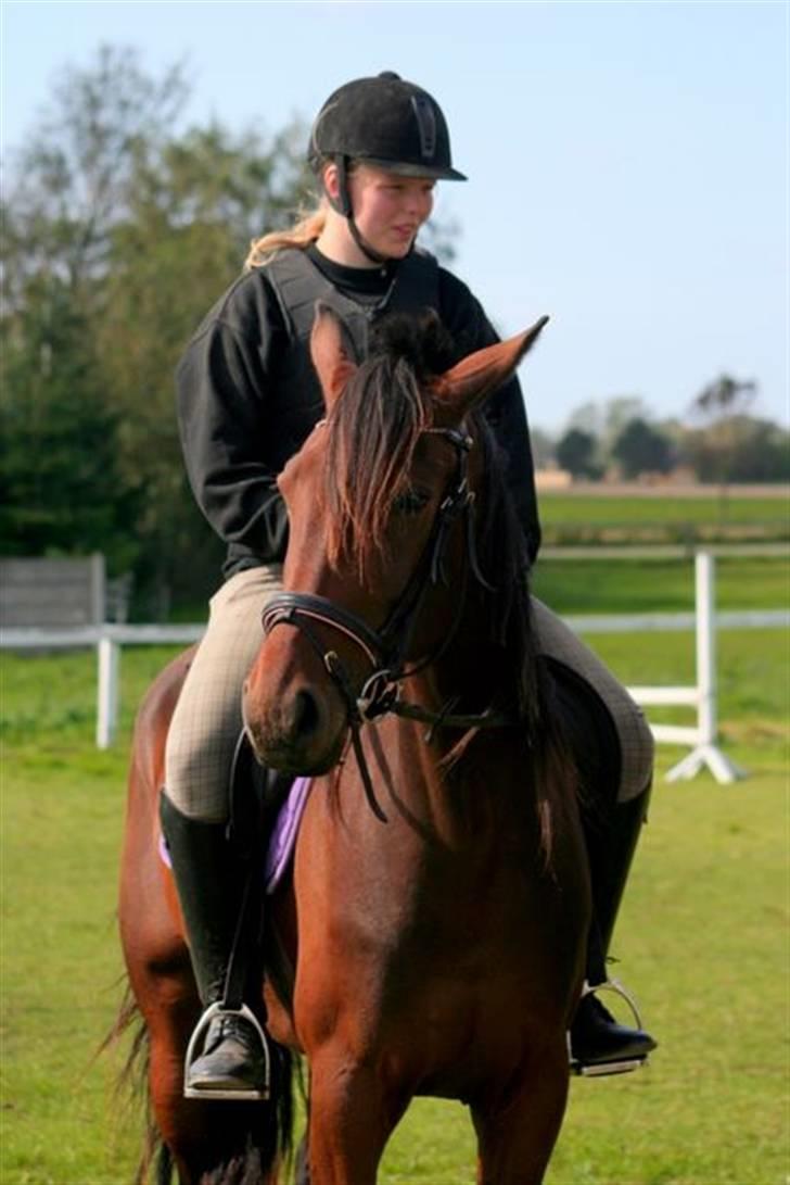 Traver Medea Fønix R.I.P. billede 20