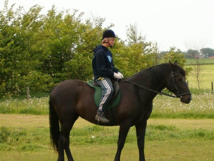 Anden særlig race Zacho's Leica<3 (mum) - den første ridetur.. det var den bedste dag i mit liv:D billede 6