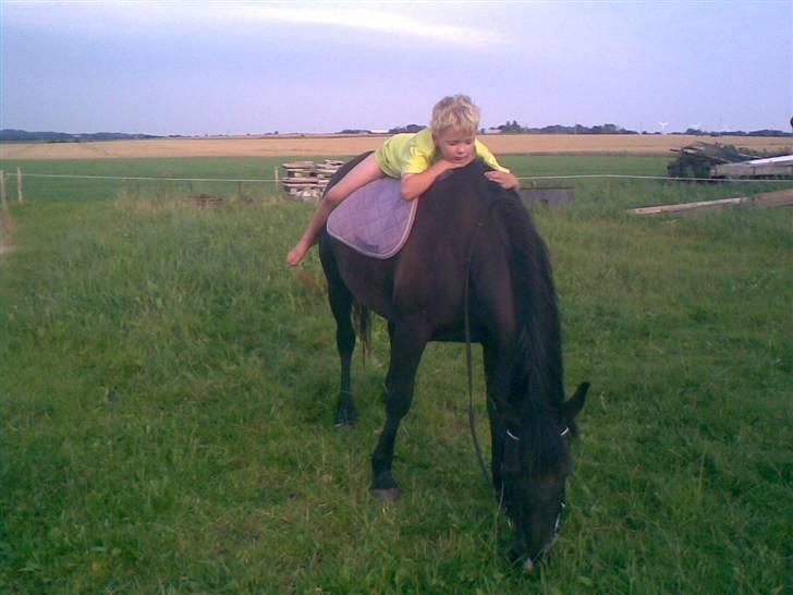 Anden særlig race Zacho's Leica<3 (mum) - min bror forstår og slappe af..:) billede 7