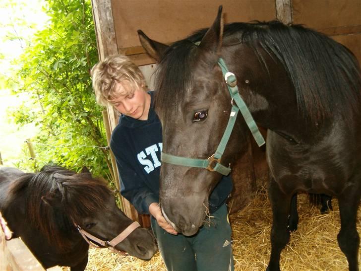 Anden særlig race Zacho's Leica<3 (mum) - den første dag leica boede hos mig ;D billede 8