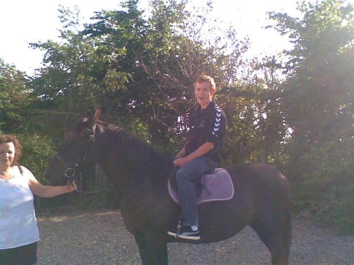 Anden særlig race Zacho's Leica<3 (mum) - selv min bedste ven, som ikke gad op på den hest, kom han op alligevel.. og nu har han også galopreret. jeg er stolt af ham..:) billede 12