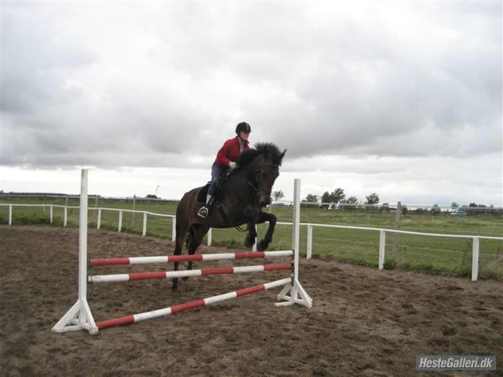 Oldenborg schousboes rasmus  - rasmus ude og hoppe :) rytter: jamile. billede 9