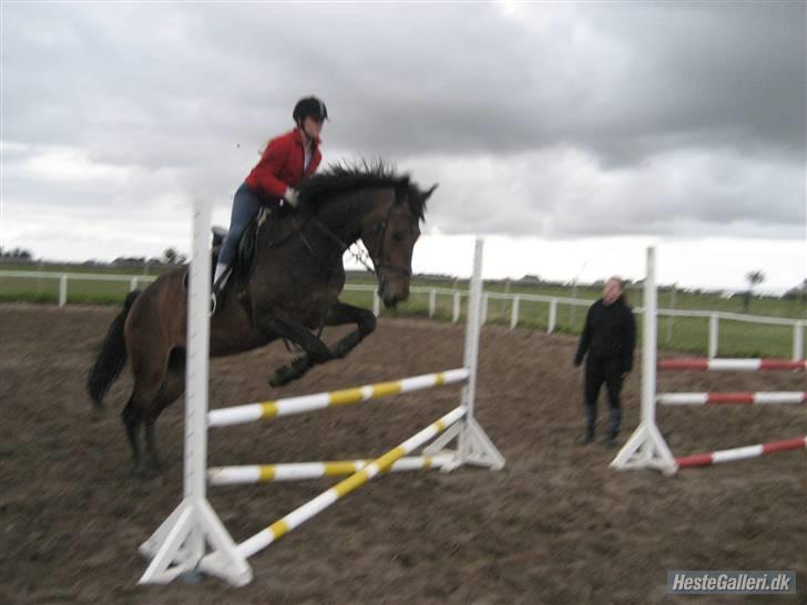 Oldenborg schousboes rasmus  - endnu er hop :) rytter: jamile. billede 10