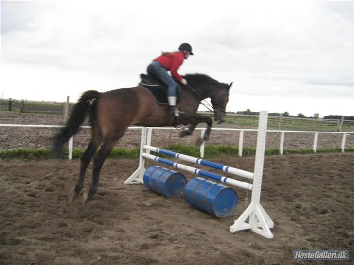 Oldenborg schousboes rasmus  - tja :) rytter: jamile. billede 11