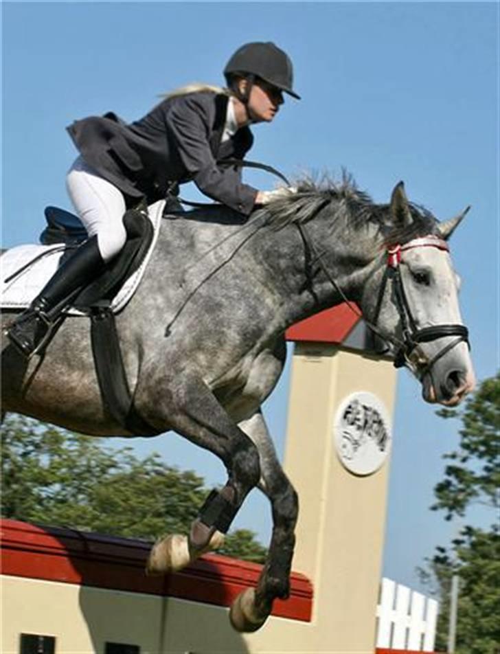 Hollandsk Varmblod Flying Dutch Boy - LC mur i ribe Vandt klassen 14/6-09 billede 9