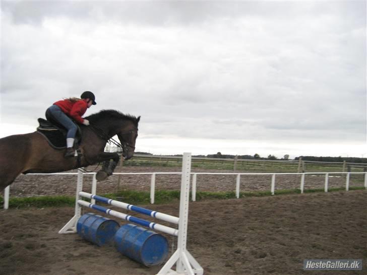Oldenborg schousboes rasmus  - hov mangler lidt af hesten :) rytter: jamile. billede 12