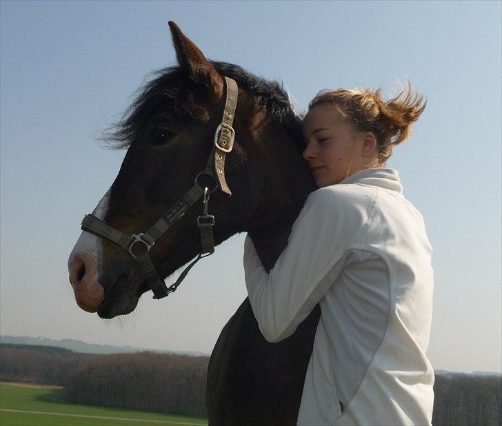 New Forest Margo  - påskeferie hos cecilie & pretty, christina & Korporaal. Fotograf : Cecilie Ditlev billede 13