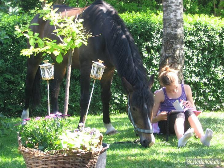 New Forest Margo  - de første dage med dig... fotograf: Mor billede 1