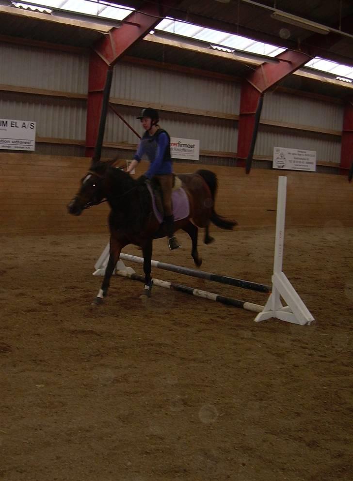 Sportsaraber (A) OX | Rakel - Et lille spring.. Omkring 30 cm. eller sådan et eller andet.. X) Vi har sprunget 53 cm.. Hihi.. billede 8