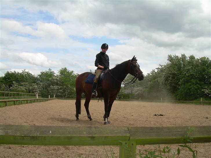 Sportsaraber (A) OX | Rakel - Parade.. <3 billede 17