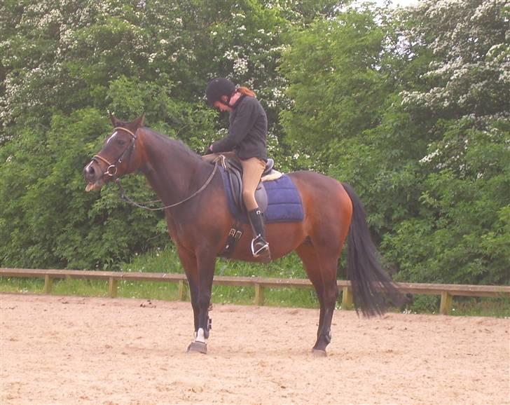 Sportsaraber (A) OX | Rakel - Parade, mens jeg spænder bøjler op.. Læg mærke til at hun rækker tunge.. :´) billede 20