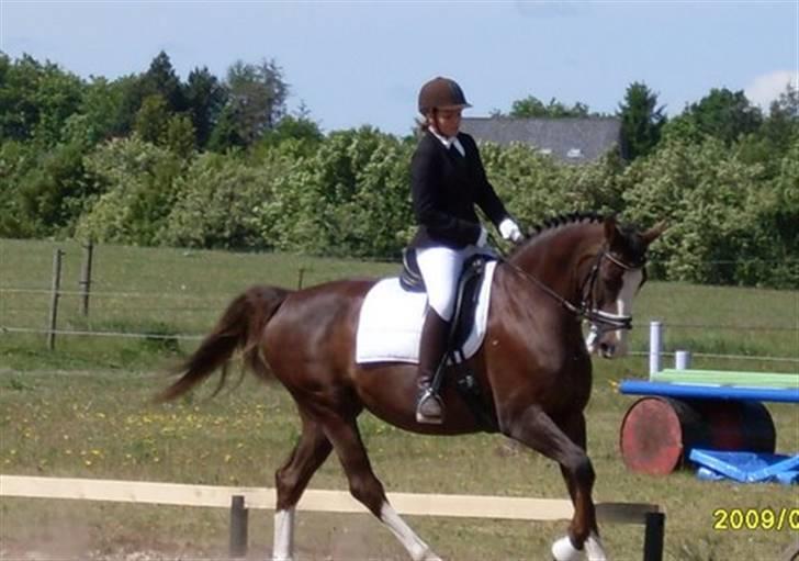 Anden særlig race Smukke Sally billede 11