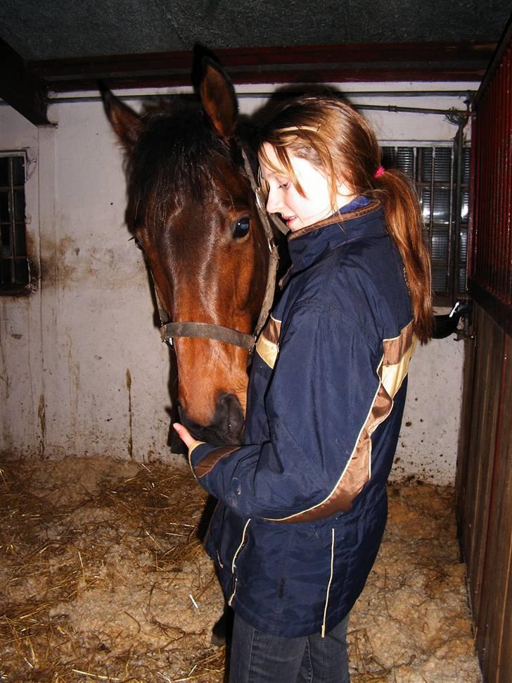 Fuldblod (XX) Capzeda xx - Capzeda og jeg december 06, jeg havde næsten lige fået ham billede 6