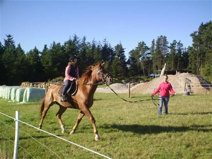 Anden særlig race PlayBoy <3 billede 16